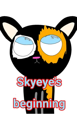 Skyeye's beginning