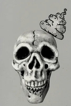 Shit Skull