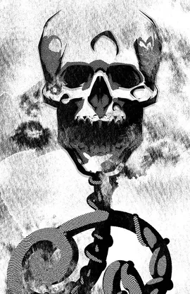 Royal Inspector Cross