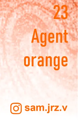 Orange Hilbert's girls