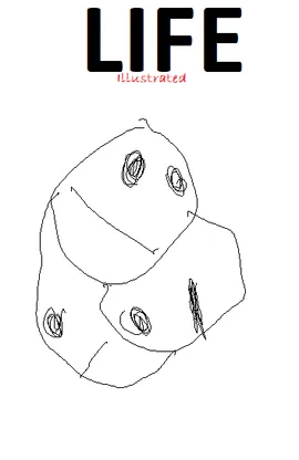 Life: Illustrated