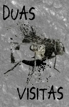 Duas Visitas/Two Visits