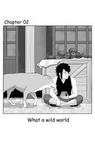 What a wild world