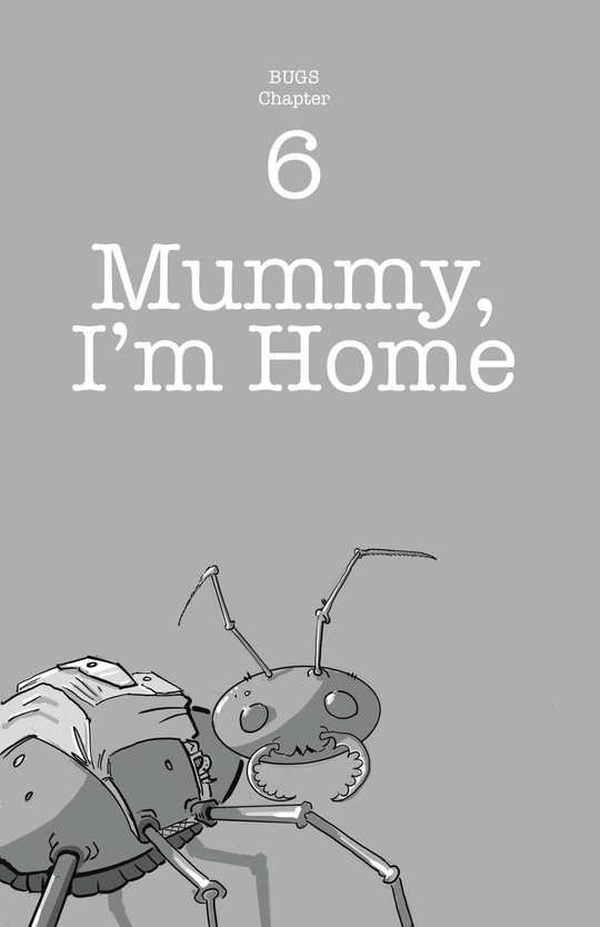 Cover for Mummy, I’m Home