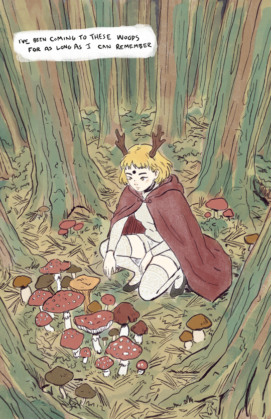 Cover for The King’s Forest