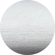 Xiong