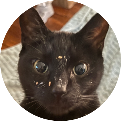 DevilishPigeon
