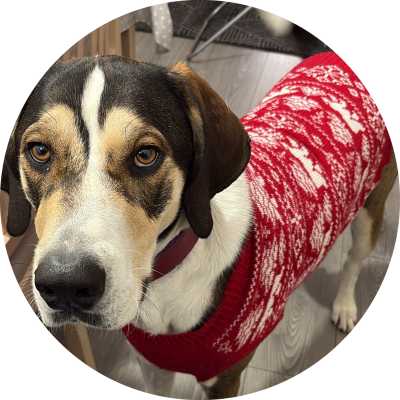 WanderingPerplexingWizard