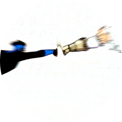 ProtectingGreyGladiator