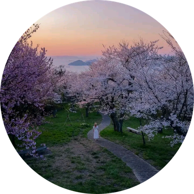 DreamingCarelessWraith916