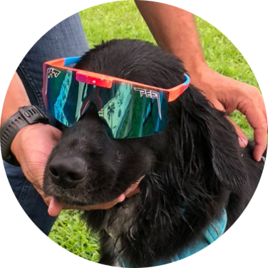PogsnMarbles