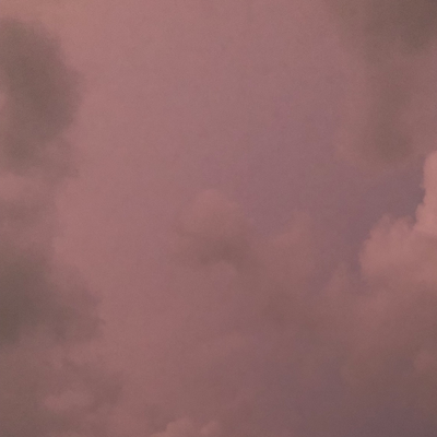 purplekirin