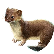 RetroStoatGaming