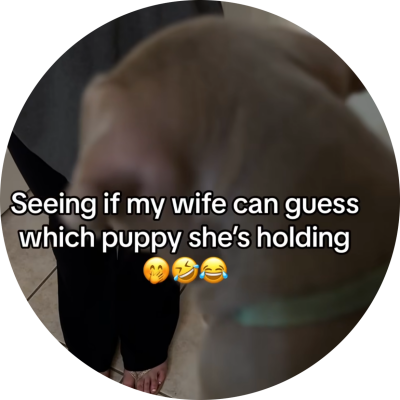SailingPeppyCentaur789