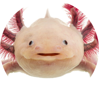 Dragonx2315