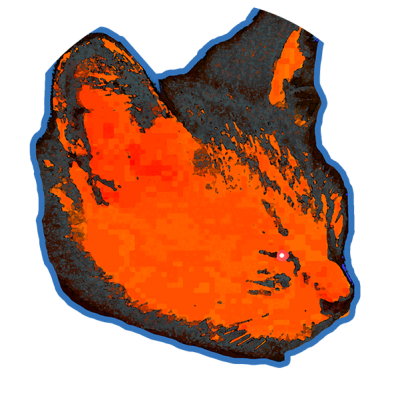 Canvasengineer