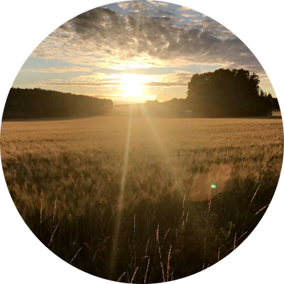 ShieldingLuminousVagabond925