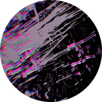 wrenisnobody