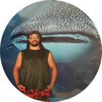 Dracoaqua33