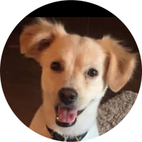 Tedthedog3737