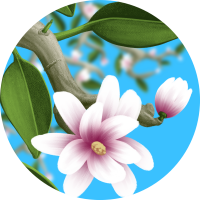 TheSingularitySeed