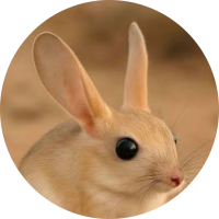 RealizingDivineAdvisor