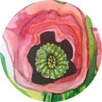 PavoticArt