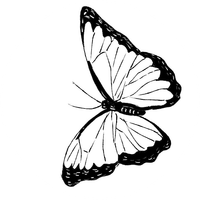 aujua
