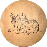 LoneWolfGamer