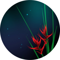 AniK