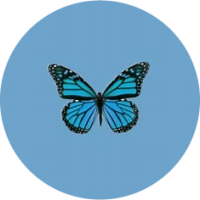 Mystical-Butterfly