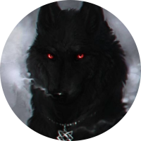 ShadowstarTheWolf13