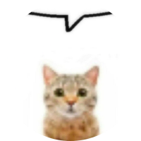 niko
