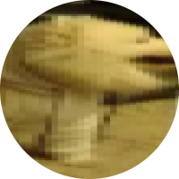 Tomekurens