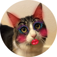 Catnipzzz