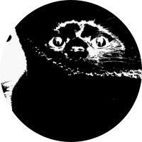 miroslav-nero