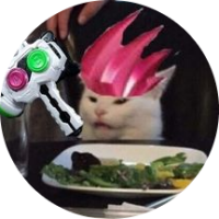 NinjaEVX
