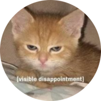 lil-cat23