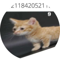 00000OOO