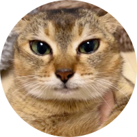 MarkoMark