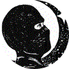 NinjaInArt