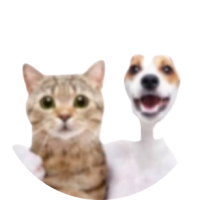 jetpaque