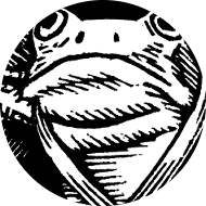 JRenzella