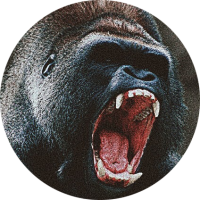 CamoBackApe
