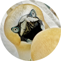 EnemyGarlic