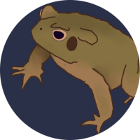 codethetoad