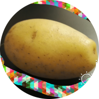 poisonseacucumber