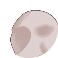 SnickeringSneakyOracle984