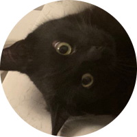 CatsNComics